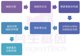 基因沉默技术 合生基因在基因调控中的前沿应用与研究突破